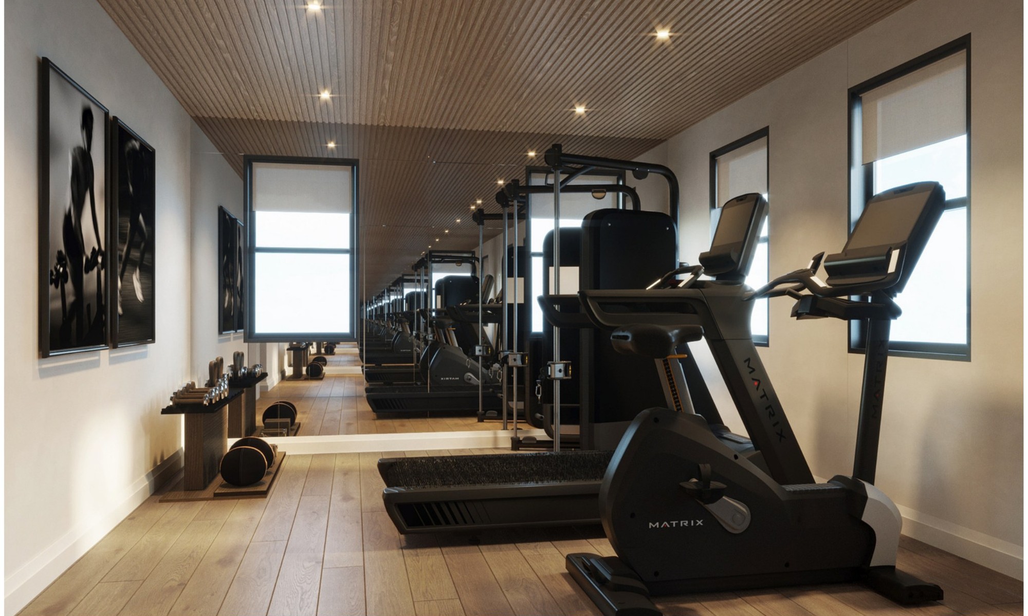 Gardenia — private exercise room with wood-clad ceiling